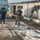 прокуратуры Туркестанской области Казахстана