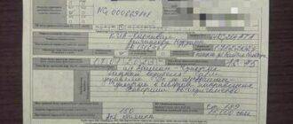 Слабоумие или отвага? Пассажиры авто по пояс вылезли из окон во время движения -