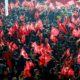 Акции протеста в Турции. В Стамбуле ужесточили запрет на демонстрации -