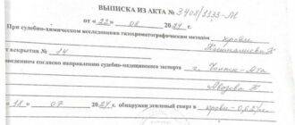 Момент смертельного ДТП с родными Аиды Касымалиевой. Кто виноват? -
