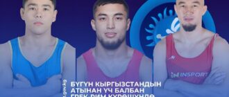 из интернета