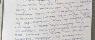 из интернета