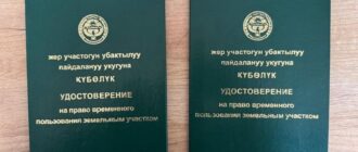 Директора ОсОО задержали за махинации с землями лесного фонда на Иссык-Куле -