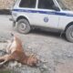 Минприроды