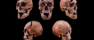 Ученые раскрыли тайну убийства венгерского герцога...