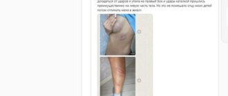Депутата Жогорку Кенеша Эльдара Сулайманова обвинили в&nbsp;насилии в&nbsp;семье